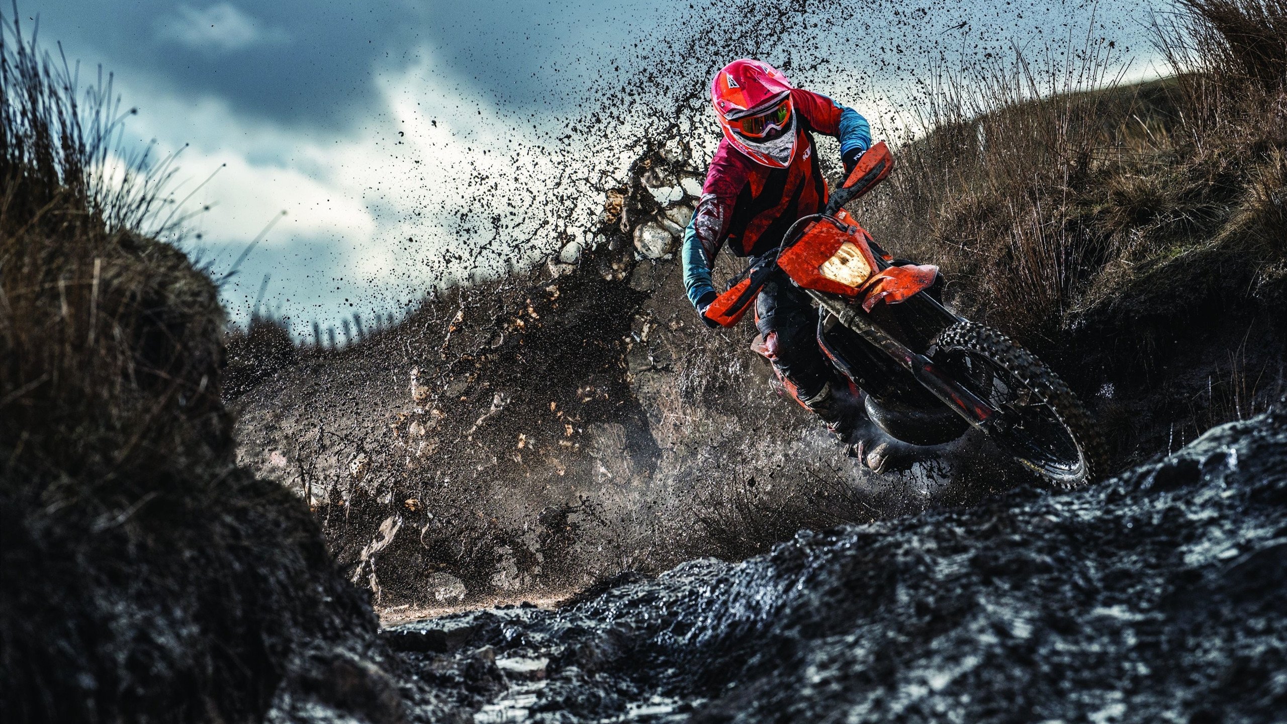 太阳在对阵骑士的比赛中，布克最后一刻投中绝杀球！，布克与太阳球迷